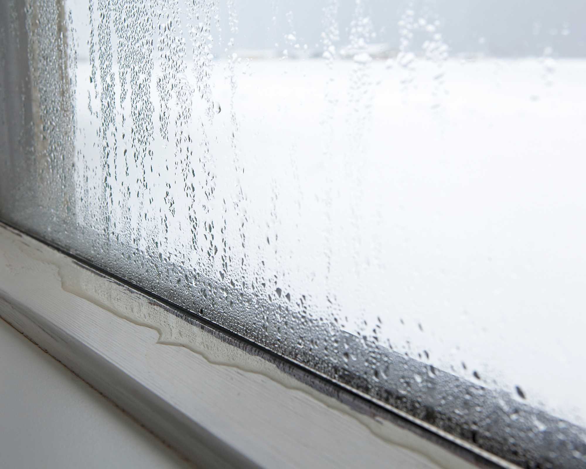 Expertise Humidité 24